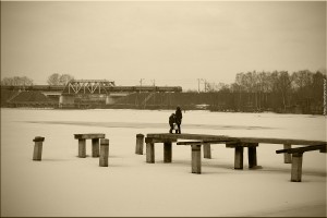 Dolgoprudny. Train bridge on the ch. Moscow-river