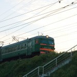 IMG_5953 IMG_5953