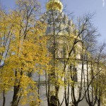IMG_8546