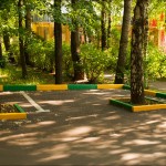 IMG_9784 IMG_9784
