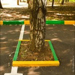IMG_9787 IMG_9787
