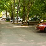 IMG_9802 IMG_9802
