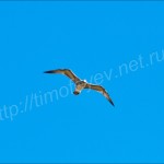 IMG_1813