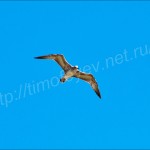 IMG_1814