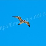 IMG_1815