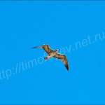 IMG_1816
