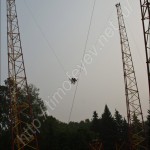 IMG_6398 IMG_6398