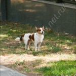 IMG_7074 IMG_7074