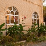 IMG_7174 IMG_7174