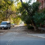 IMG_7182 IMG_7182