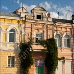 IMG_7344