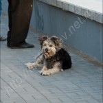 IMG_7459