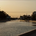 IMG_7484