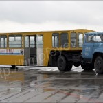 skotovozka