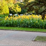 IMG_4645