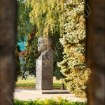 IMG_4761