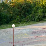 IMG_4871