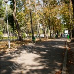 IMG_5185