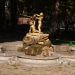 IMG_5207