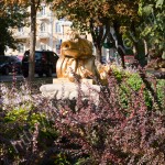 IMG_5211