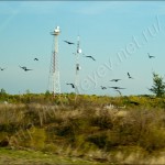 IMG_5716_1