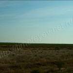 IMG_5724