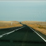 IMG_5762