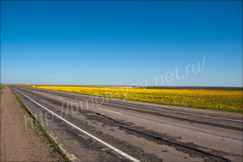 Поля вдоль дорог