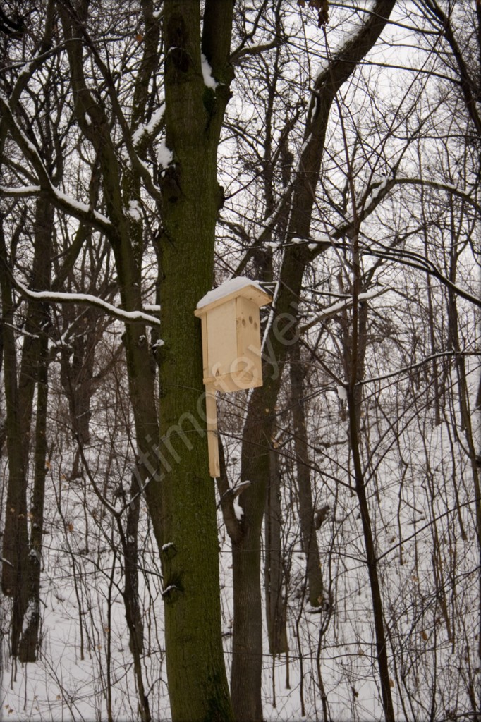 Скворечник